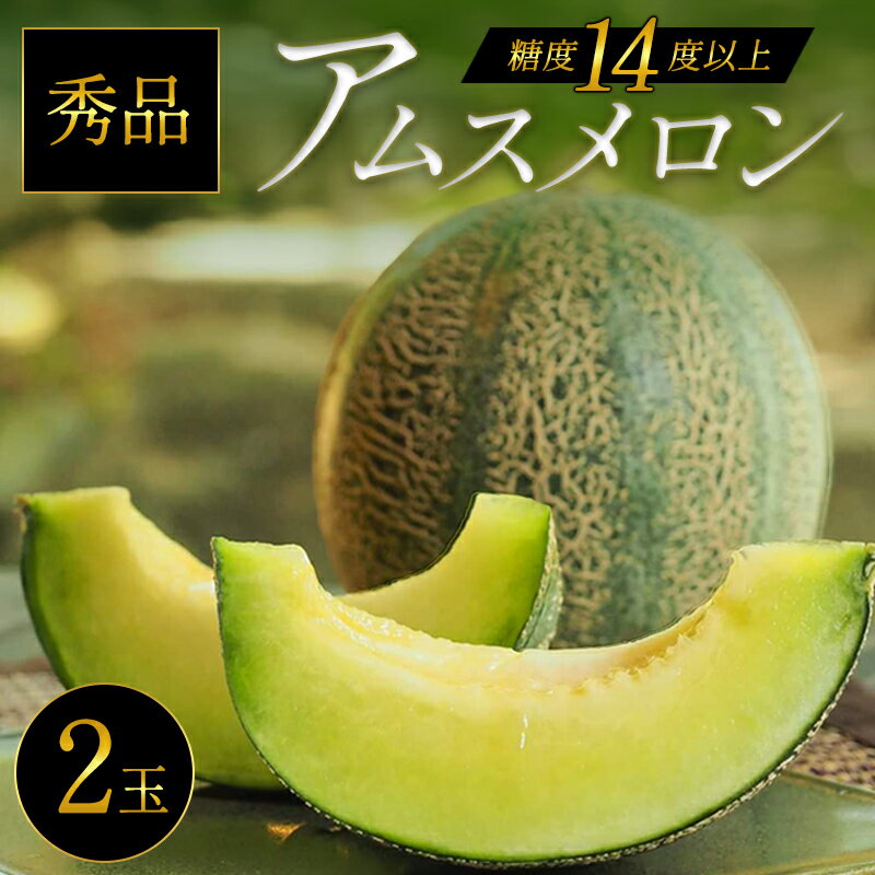 【ふるさと納税】 〈先行予約〉アムスメロン 2玉 メロン 糖度14度以上 青肉 果物 フルーツ くだもの 贅沢 ご褒美 高級 ギフト 贈り物 お土産 お取り寄せ