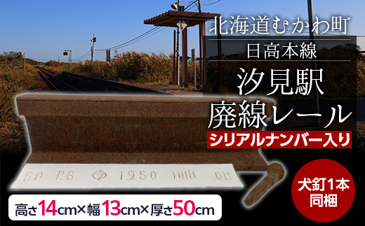 日高本線廃線レール　長さ５０ｃｍ（数量限定）（シリアルナンバー入り） 【 ふるさと納税 人気 おすすめ ランキング 廃線 レール 汐見 置物 限定 北海道 むかわ町 送料無料 】MKWG034