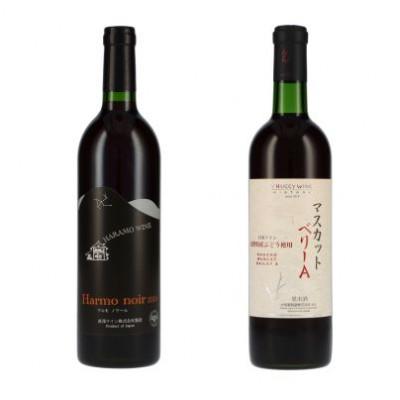 ふるさと納税 甲州市 【品種別】飲み比べ　赤ワイン6本(H-610) |  | 02