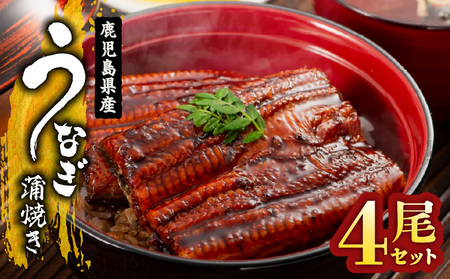 【 土用の丑の日特集 】 1652-1 鹿児島県産 うなぎ蒲焼き4尾セット KN058-002-04 魚 鰻