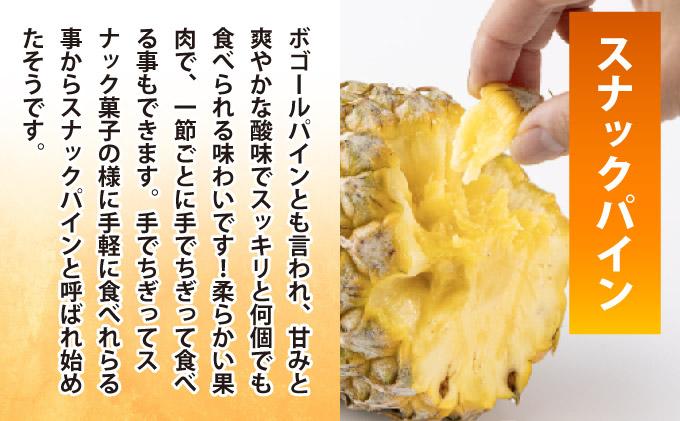 《4月以降発送》袋をあければそこは南国！完熟スナックパインをカットして小分けでお届け！ 100g×6パック  TF-103 冷凍カットパイン（スナックパイン）100g×6袋 | 沖縄県 石垣市 石垣島