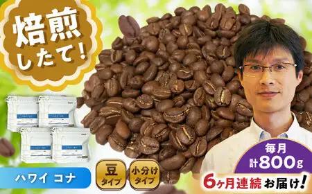 【全6回定期便】ハワイ・コナ　コーヒー豆　200g×4個 (豆)  / コーヒー  ドリップ  豆 / Coffee SAKURA[BBAB064]