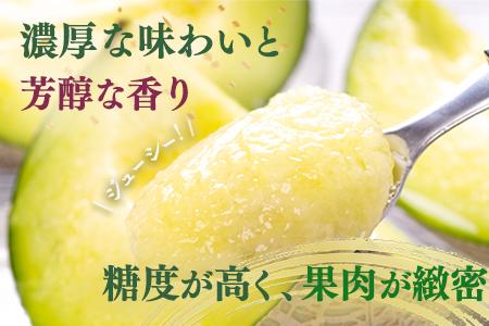 【2027年4月中旬〜発送】タカミ メロン (極み)大玉 2個 (計3.4kg〜4kg) 果物 フルーツ 貴味 メロン 001-0659