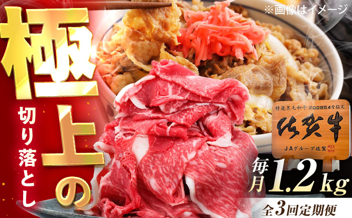 【3回定期便】佐賀牛 切り落とし 1.2kg（600g×2p） /MKミート武雄 [UEM035]