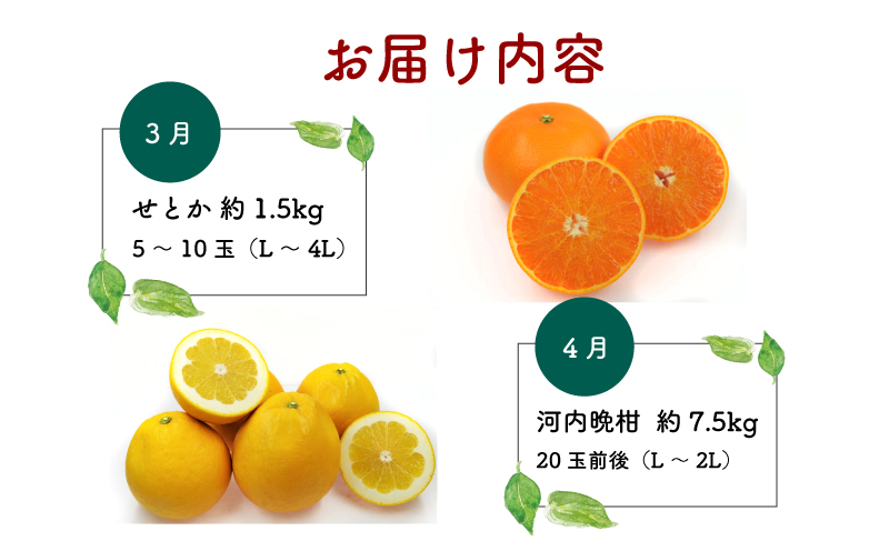 みかん定期便 6回 愛媛みかん えひめ かんきつ 定期便 愛媛県観光物産協会 みかん mikan 愛媛蜜柑 愛媛ミカン 日の丸みかん 紅まどんな 伊予柑 デコポン せとか 河内晩柑 サイズ ミックス 
