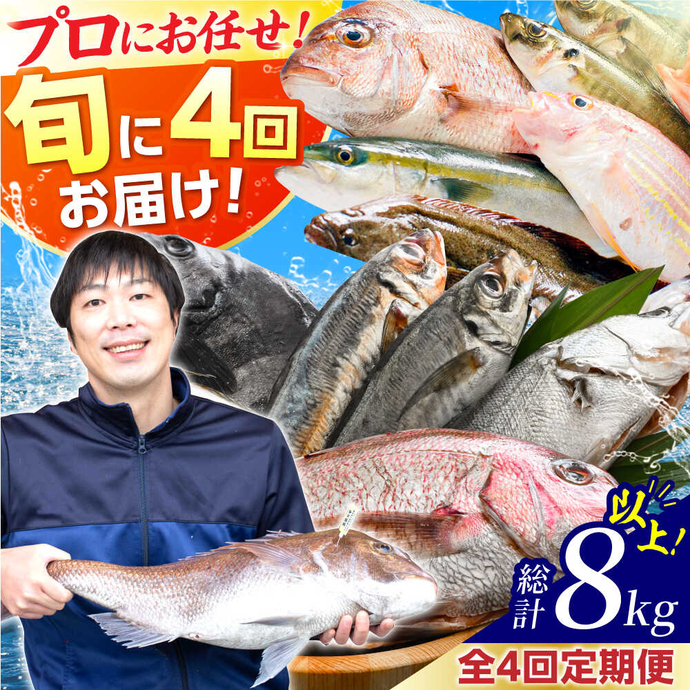 【ふるさと納税】【4回定期便/3ヶ月毎発送】「若狭小浜港産地直送」 旬の天然鮮魚お任せセット！ 地魚 下処理済み 刺身 煮魚 焼き魚 旬 タイ アジ 小浜市 / 加福鮮魚 【配送不可地域：北海道・沖縄・離島】 [BFBC015]