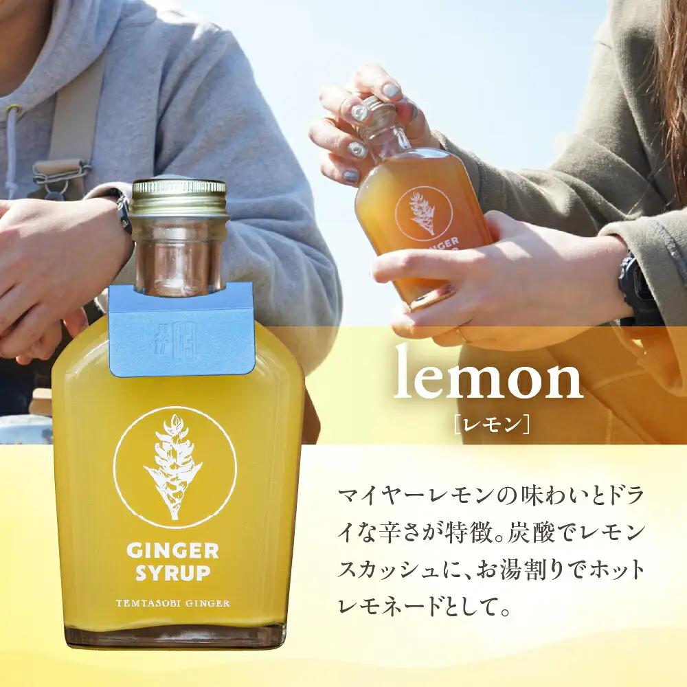 クラフトジンジャーシロップ レモン 飲料