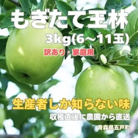 生産者しか知らない味 パリッと、シャキッと もぎたて王林 約3kg(6～11玉)【訳あり】【配送不可地域：離島・沖縄県】【2002538】