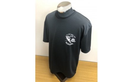 747 F-4EJ 301号機 Tシャツ（岐阜城 F-4 グレー）