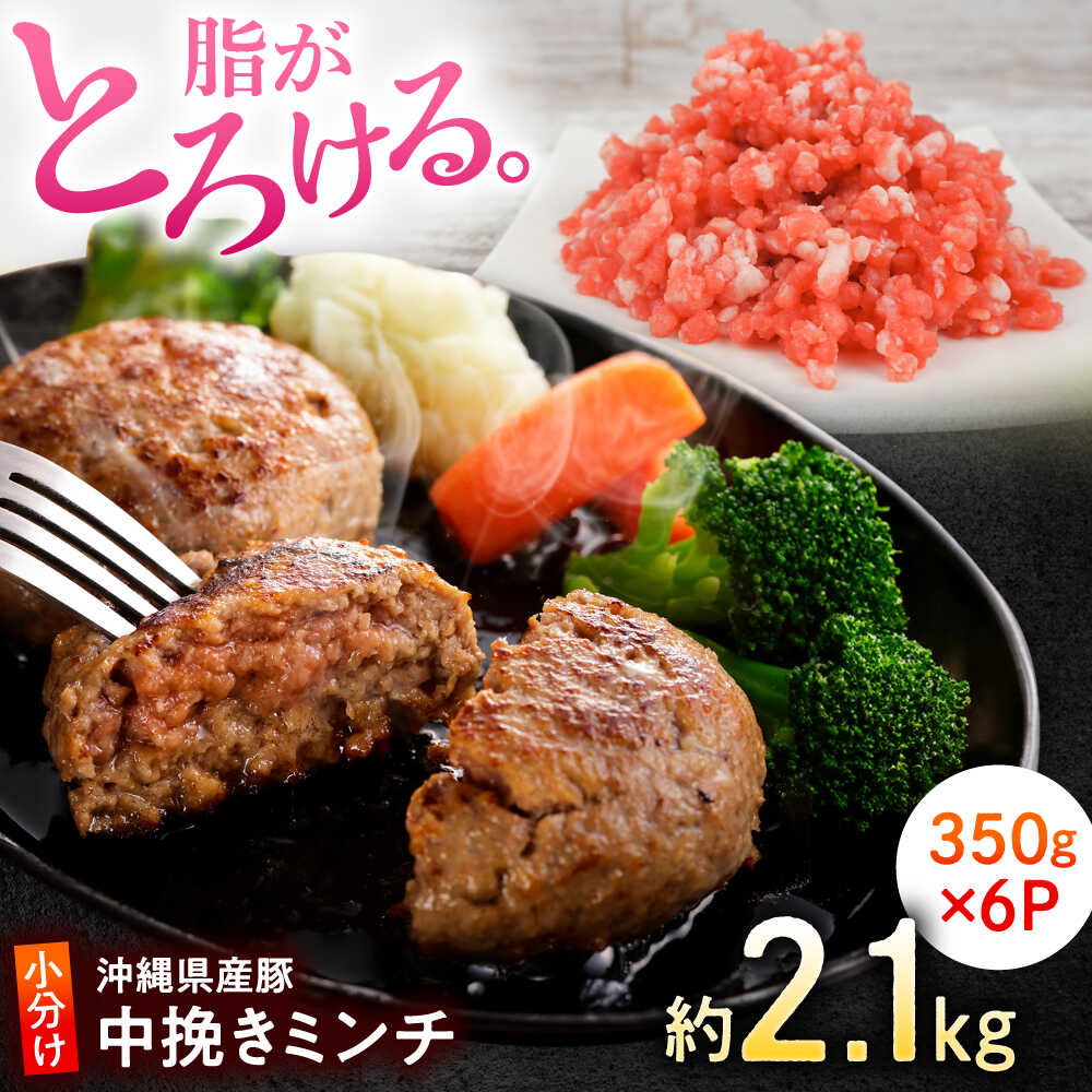 【ふるさと納税】沖縄 豚肉 豚ミンチ 中挽き 約2.1kg (350g×6P) 豚 ミンチ ひき肉 挽き肉 挽肉 豚肉 小分け 冷凍 国産豚肉 国産 おすすめ おいしい 人気 豚肉 大容量 沖縄市 / 宮城ふぁーむ [BCAJ009]