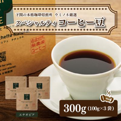 ふるさと納税 下関市 スペシャルティ コーヒー豆セット エチオピア 300g(100g×3袋) EW125