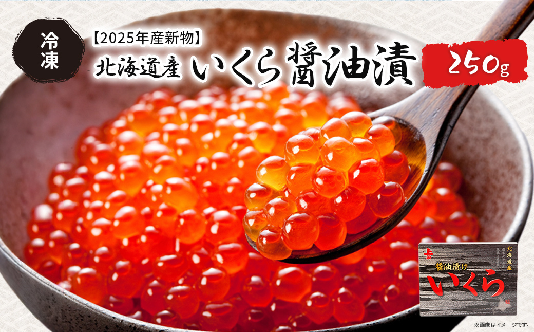 【2025年産新物】北海道産 いくら醤油漬（冷凍）250g ABAB006
