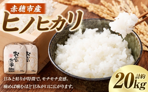 【令和7年産】 赤穂市産 ヒノヒカリ 約20kg（約10kg×2袋） 【2026年9月下旬まで順次発送予定】 米 コメ お米 ライス ご飯 ごはん 飯 食品 精米 兵庫県 赤穂市
