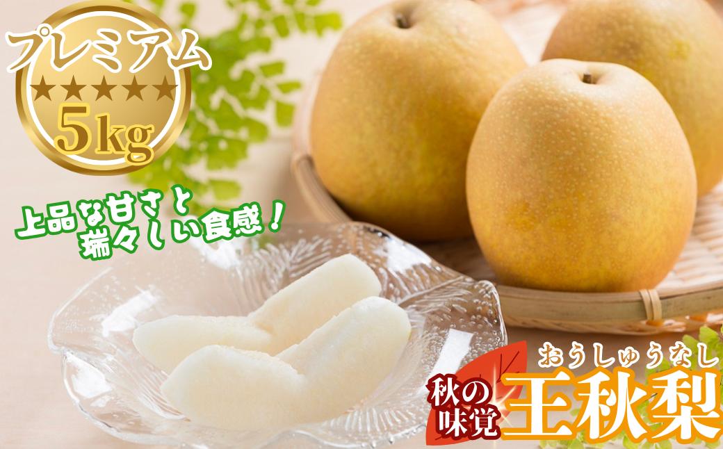 
            プレミアム王秋梨 5kg
          