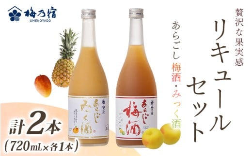 あらごしシリーズ 720ｍl 2本 セット 梅酒 みっく酒 ／ 梅乃宿酒造 お酒 リキュール ギフト 贈り物 プレゼント 人気 メーカー直送 みっく酒 ゆず みかん 梅酒 もも 果実 奈良県 葛城市【umyd050A】