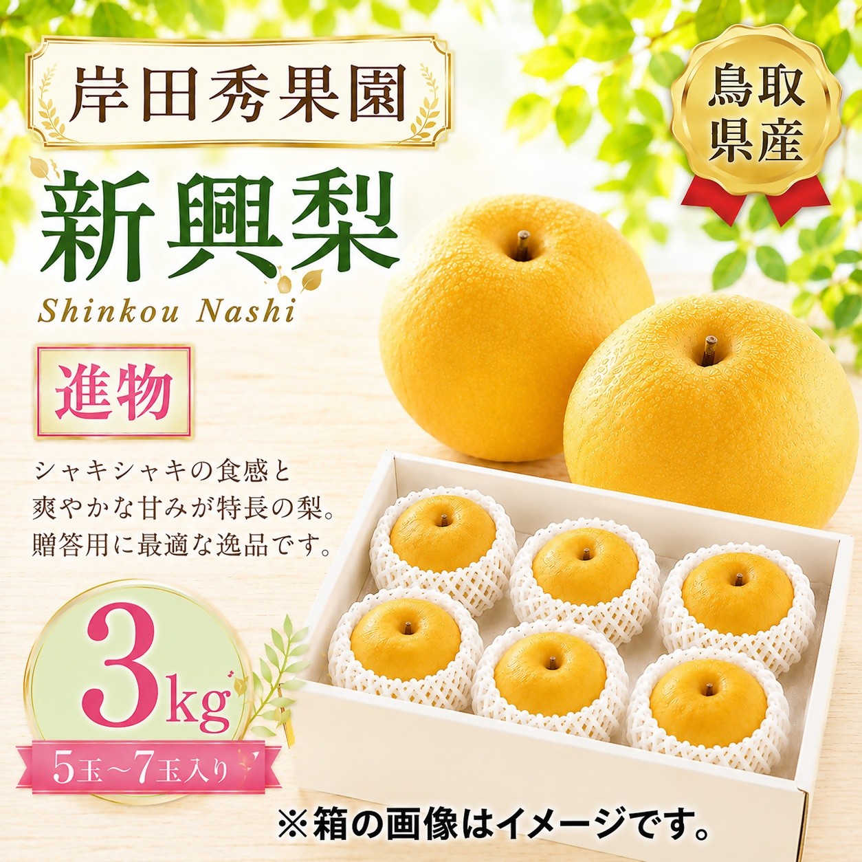 
                  【予約受付中】岸田秀果園 新興 進物用3㎏
                