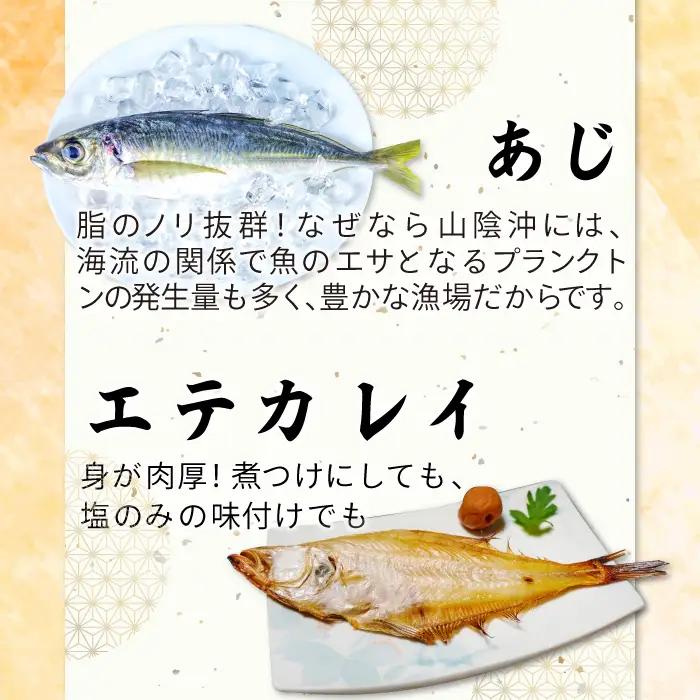 定番の干物４種詰合せセット【干物 セット アジ エテカレイ ハタハタ 白いか 鯵 鰈 鰰 白イカ 島根県産 島根県沖 一夜干し ひもの 魚 魚介 日本食 和食 贈答 ギフト お取り寄せグルメ ご当地グ