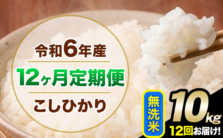 【12ヶ月定期便】令和6年産 定期便 こしひかり 無洗米 定期便 10kg 精米 熊本県産(南阿蘇村産含む) 単一原料米 南阿蘇村《申込み翌月から発送》---kh6tei_354000_10kg_mo12_mna_m---
