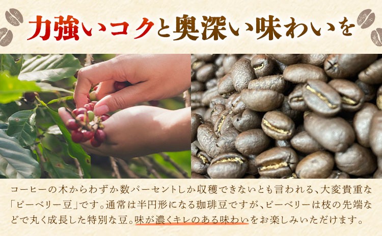 ※画像はイメージです