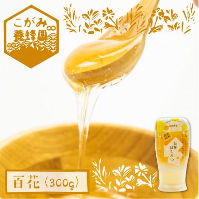 ふるさと納税 飛騨市 百花蜜 300g [Q1195]