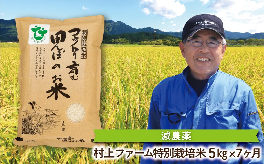 
            定期便 特別栽培米コシヒカリ 5㎏×7か月【村上ファーム】令和6年産 減農薬 特別栽培米 定期便 コシヒカリ コウノトリ 安心 安全 高リピート 人気 
          