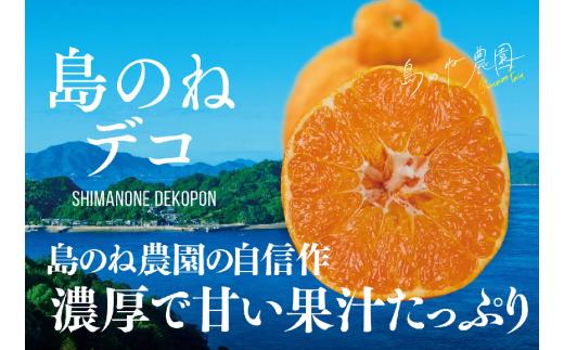 【先行予約】【数量限定】島のね農園のプレミアム不知火 島のねデコ ４ｋｇ[KB01590]