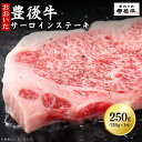 【ふるさと納税】豊後牛 サーロインステーキ 250g ( 250g × 1枚 ) 牛肉 肉 お肉 サーロイン ステーキ ギフト プレゼント 贈答 化粧箱入り 国産 九州産 大分県産 D5