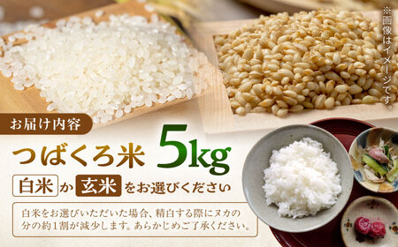 【年内発送】新米 選べる白米or玄米 つばくろ米 5kg 白川町 / 黒川つばくろ農園[AWCB001]
