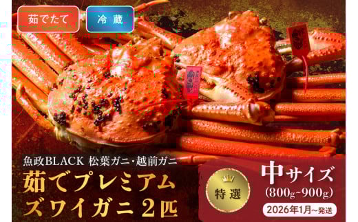 【蟹の匠 魚政】茹で　プレミアムズワイガニ 魚政BLACK（松葉ガニ・越前ガニ）特撰 中サイズ（800～900g） 2匹セット　 (2026年1月～発送)【土日祝】　松葉蟹 蟹 かに カニ ガニ がに ボイル 海産物 甲殻類 海の幸 まるごと　UO01305