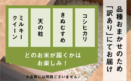 備蓄米 30kg 3年保存パック 【玄米】 低農薬 品種 おまかせ 訳あり 　備蓄 長期保存パック 常温 長期保存 米  保存 常備
