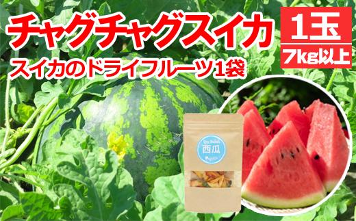 【2025年8月発送】 チャグチャグスイカ 2L 7kg 以上 & スイカ ドライフルーツ セット 【駿河農園ベジスル】／ 滝沢スイカ すいか スイカ 西瓜 1玉 １玉 ２L 大玉 夏 風物詩 定番 旬 フルーツ 果物 くだもの 乾燥 珍しい 人気 美味しい 甘い おすすめ オススメ 産地直送 国産 岩手県産