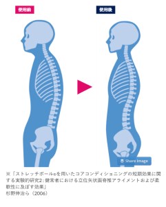 FI002_【LPN社製】「ストレッチポールEX」一流アスリートから医療の現場、ご家庭まで幅広く活用。