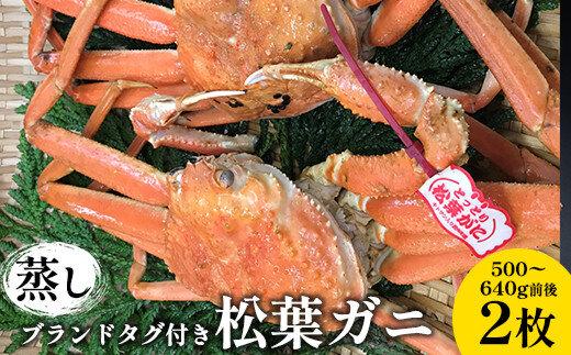 109.【蒸し】ブランドタグ付き松葉ガニ 500～640g前後　２枚◇ ≪かに カニ 蟹 ズワイガニ≫　※2026年11月上旬～2027年3月上旬頃に順次発送予定