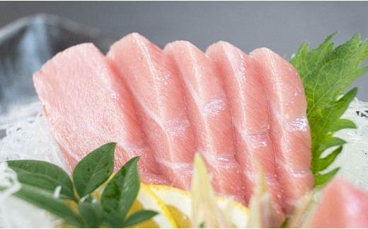 【訳アリ】養殖本マグロ 大トロ 6kg 黒潮本まぐろ 大容量 不定貫 不揃い 刺身用 業務用 養殖まぐろ 最優秀賞受賞 日本一 配達日指定可 本まぐろ まぐろ 鮪 訳あり ワケあり たっぷり 小分け 