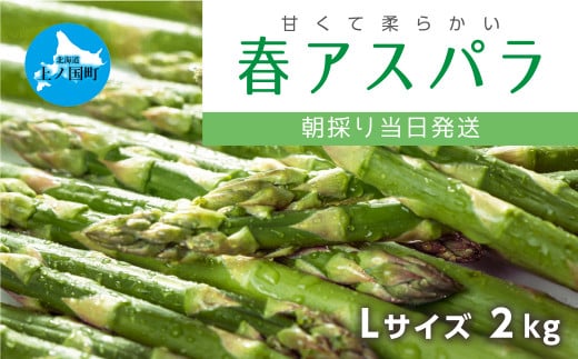 【2025年春発送】北海道上ノ国町産 寅福菜園の春アスパラ　L（2㎏）