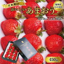 【ふるさと納税】あまおう いちご 450g　1箱 化粧箱入り 大川市産 先行予約 【2024年12月30日～2025年1月6日発送】 | 果物 フルーツ いちご 苺 化粧箱 予約 美味しい おいしい　期間限定 お取り寄せ グルメ ギフト 福岡県 大川市 オリジナル ふるさと納税