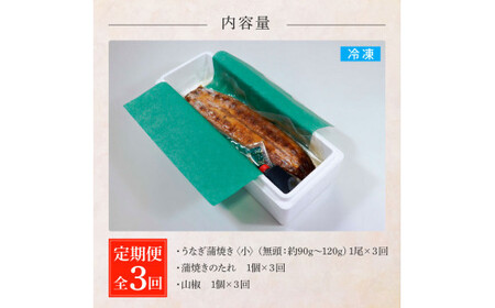 うなぎの蒲焼き(小) 1尾×3回 定期便 3ヶ月 定期コース タレ付き 山椒付き