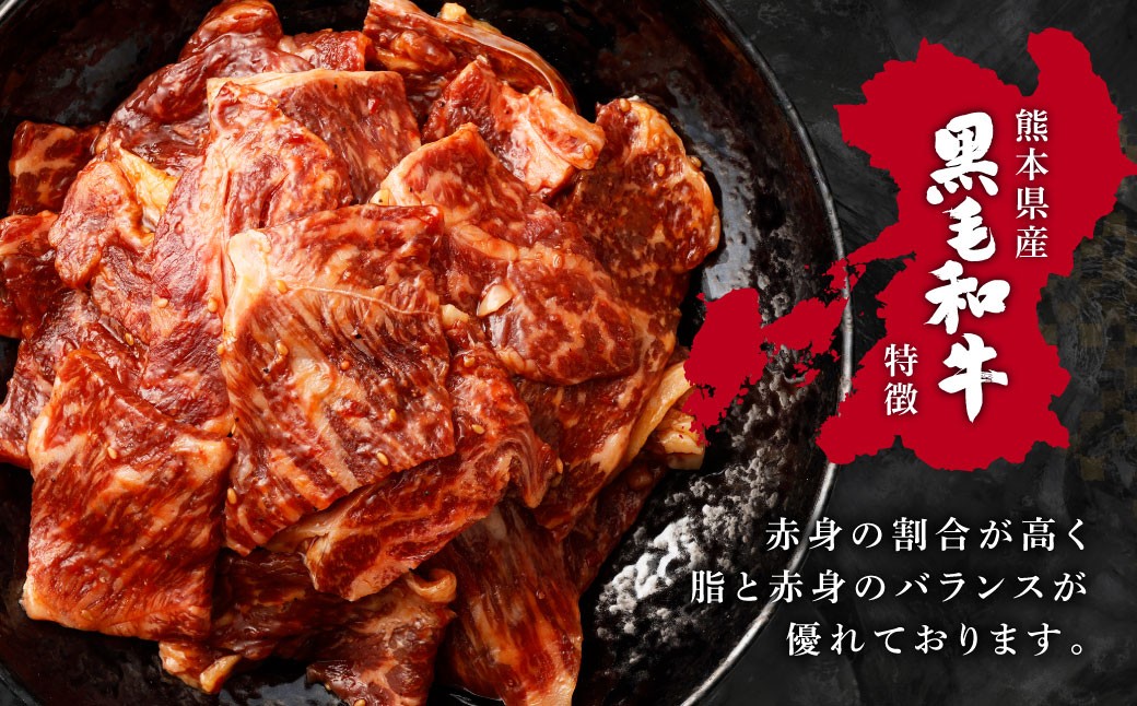【 8回 定期便 】 熊本県産 黒毛和牛 タレ漬け焼肉 約1.5kg （約500g×3パック）×8回 合計約12kg