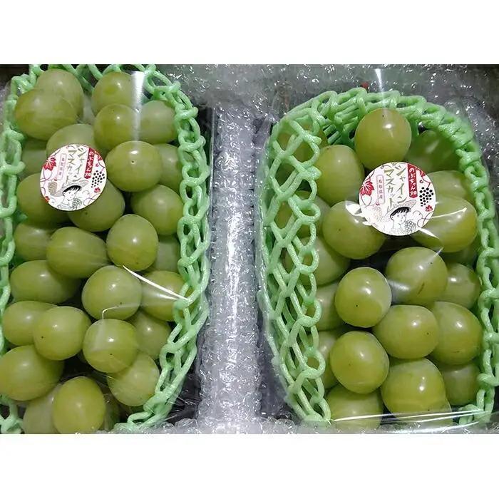 【先行予約】琴浦町産シャインマスカット2～3房セット（計約1.5kg）