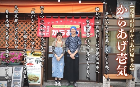 【からあげ壱気】大分からあげ600g×2セット(モモ、とりトロ、ムネ、ずり、手羽先) | 豊後高田市 唐揚げ