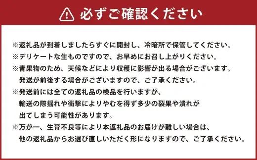 ハウス不知火おでこ 4.5kg 熊本県 果物 くだもの フルーツ 熊本県産 国産 柑橘系 柑橘類 不知火 おでこ ミカン みかん ハウス栽培 贈り物 プレゼント ギフト 贈答 【 2026年12月上旬