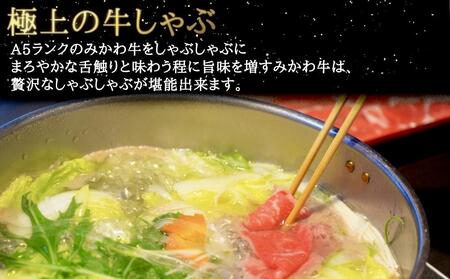 A5等級みかわ牛　しゃぶしゃぶ・すき焼き用スライス肉　500g