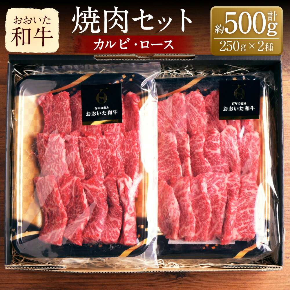 【ふるさと納税】おおいた和牛 カルビ ロース 焼肉セット 250g×2種 計約500g 牛肉 和牛 国産 肉 焼肉用 BBQ 詰め合わせ 盛り合わせ 焼肉セット セット 九州 冷凍 大分 大分県産 竹田市 送料無料
