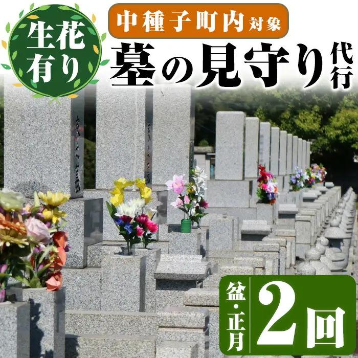 n129 ＜生花有り＞ 墓地 清掃 お墓 見守り サービス 2回 盆・正月 除草 管理 【中種子町シルバー人材センター】