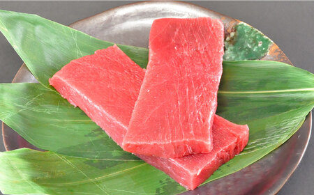 【全12回定期便】【訳あり】天然 本まぐろ 中トロ 計約1.8kg (8柵入り) 鮪 マグロ 魚 刺身 横須賀【横須賀商工会議所 おもてなしギフト事務局（本まぐろ直売所 横須賀本店）】 [AKAK07