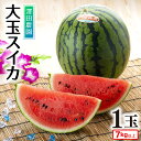 【ふるさと納税】 【先行予約】大玉スイカ（7kg以上 1玉入) 皮際まで甘い！シャリ感も抜群！ ／ 期間限定 数量限定 果物 フルーツ 西瓜 すいか 産地直送 ※2025年6月中旬より順次発送