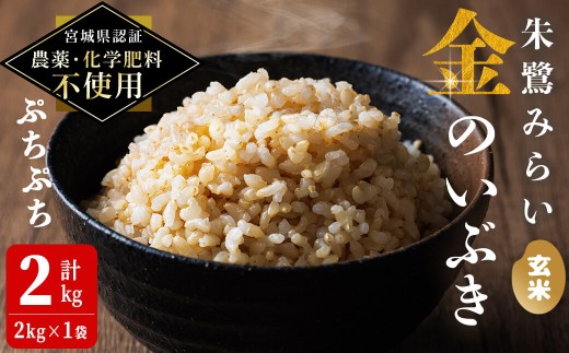 ＜宮城県認証 農薬・化学肥料不使用＞金のいぶき 玄米 2kg(2kg×1袋) 朱鷺みらい 登米市産 お米 おこめ 米 コメ ご飯 ごはん おにぎり お弁当 【オーガニックとめネットワーク】tm586