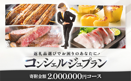 コンシェルジュプラン 寄付額200万円コース KN000-CP200 コンシェルジュ プラン 選べる コース うなぎ 肉 牛 豚 鶏 魚 かんぱち 酒 焼酎 菓子 スイーツ 惣菜 総菜 野菜 日用品 おまかせ 厳選 鹿児島 鹿屋市 おすすめ ランキング プレゼント ギフト ランキング