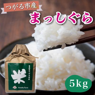 ふるさと納税 つがる市 令和7年産 つがる市産 まっしぐら 白米 5kg [0937]