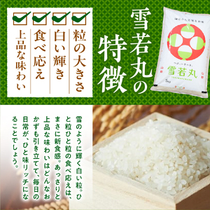 【令和6年産米】2024年産雪若丸10kg(2025年10月後半送付)丸屋本店提供 hi008-012-103-1 2024年 令和6年産 山形 送料無料 東北 白米 精米 お米 こめ ブランド米 ご